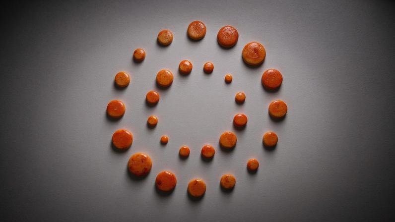 Mulher polonesa presa no Reino Unido por matar o parceiro e enterrá-lo no jardim