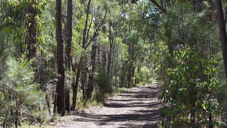 Alcoa paga aos federais australianos US$ 36 milhões por desmatamento ilegal