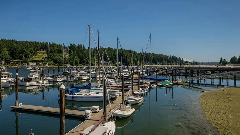 Homem mata quatro pessoas a facadas no estado de Washington