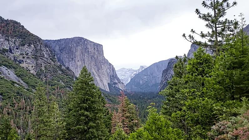 Trump indica executivo de hospitalidade para liderar o Serviço Nacional de Parques