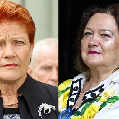Pauline Hanson não declarou outro voo da empresa de Gina Rinehart