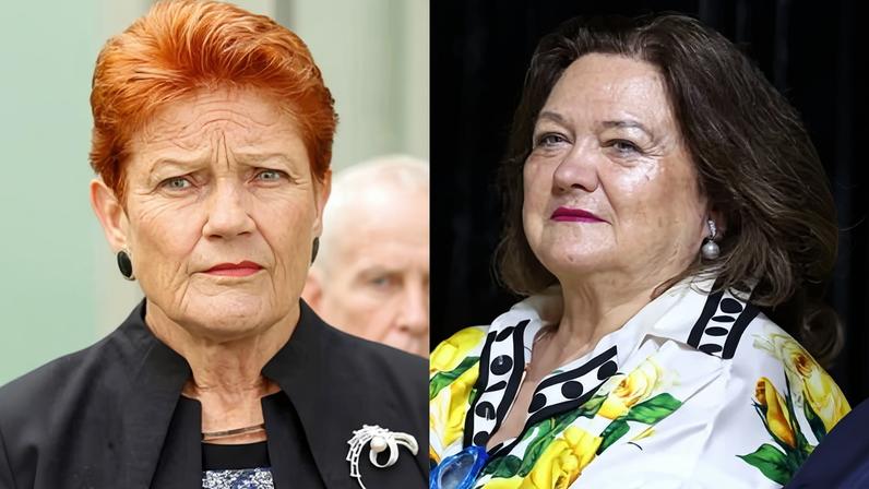Pauline Hanson failed to declare flight gifted by Gina Rinehart’s company Hancock Prospecting.