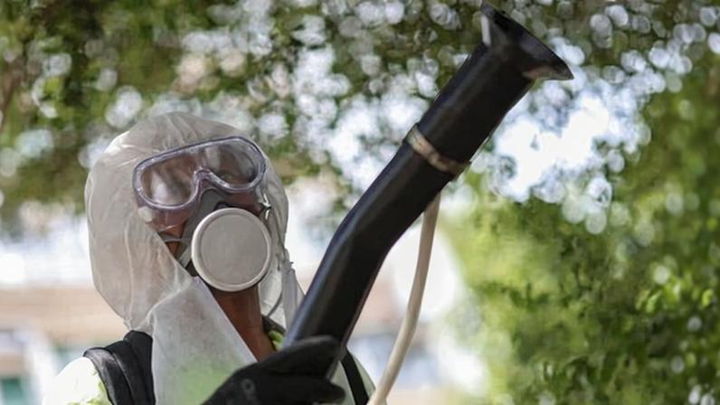 Hundreds of cases of chikungunya hit France and Italy in 2025.