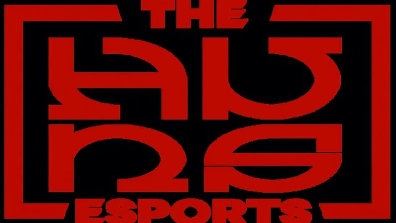 The Huns Esports
