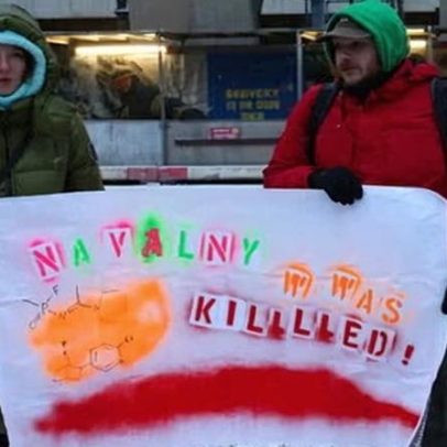 Envenenamento de Navalny com toxina de sapo pode ter sido para enviar mensagem