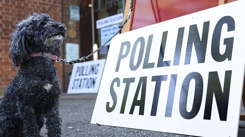 Conselhos enfrentam corrida contra o tempo para eleições, dizem líderes
