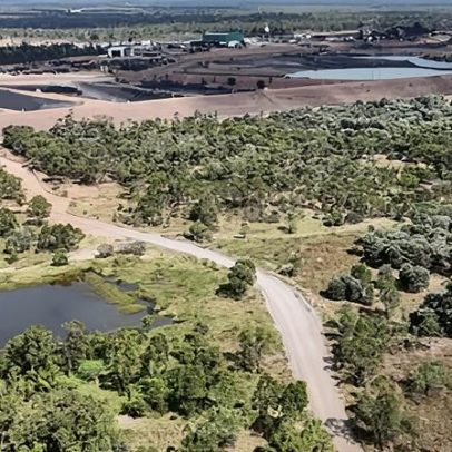 Expansão de mina de carvão em Queensland é aprovada, dizem cientistas