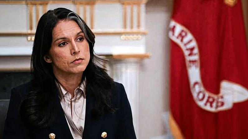 Tulsi Gabbard attends a cabinet meeting at the White House on 2 December 2025.