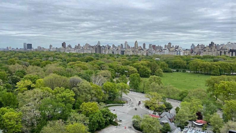 Poluição luminosa pode piorar temporadas de alergias, aponta estudo