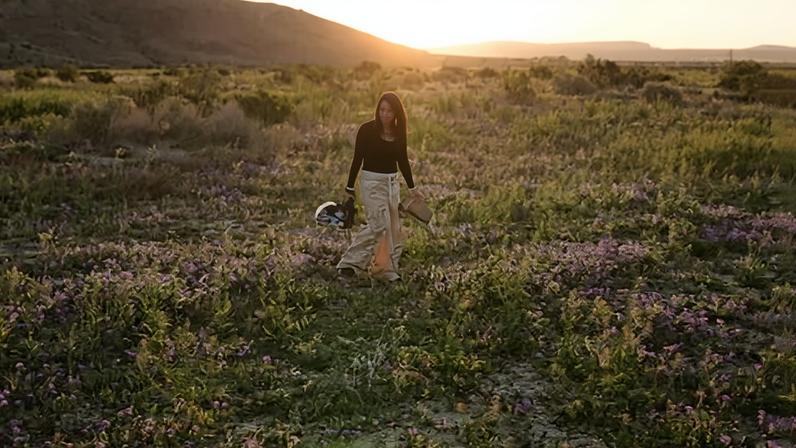 Vale da Morte registra explosão de flores silvestres, sinalizando superbloom