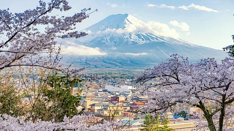 Festival de sakura no Japão é cancelado por crise de turistas desordeiros