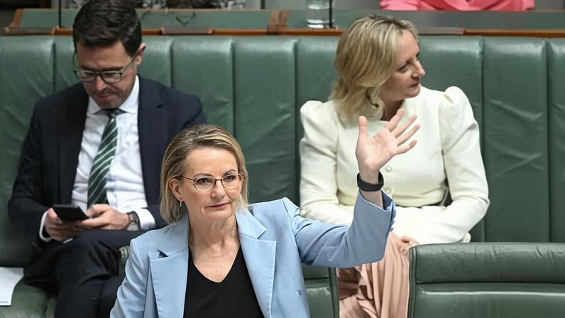 The Liberals leader, Sussan Ley, in question time in November. Parliament’s return will be overshadowed by the Coalition’s split and the Nationals’ leadership spill.