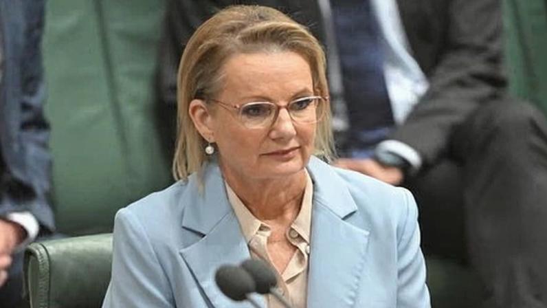 Sussan Ley pode acelerar frontbench Liberal permanente; esperanças de coalizão caem