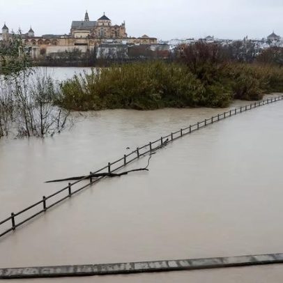 Fazendeiros relatam danos catastróficos às plantações com Marta na Espanha