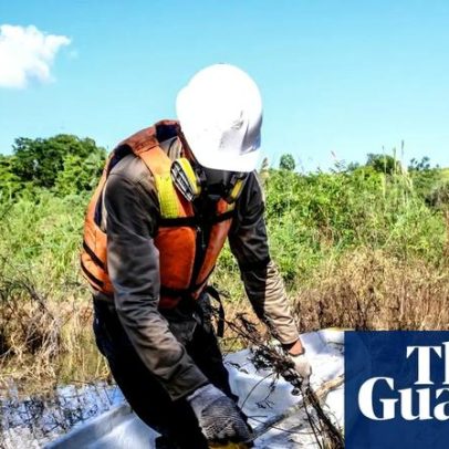 Zona de vida selvagem na Colômbia se transforma em área de morte, aponta estudo