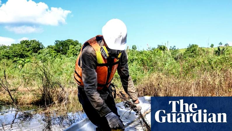 Polluted vegetation is cleared from the water after a refinery pipeline burst last October. The wetlands, near the Colombian oil town of Barrancabermeja, are home to several endangered species, including manatees – an animal once regarded as a guardian spirit of the lagoons – and jaguars