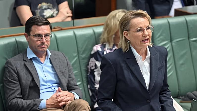 Sussan Ley and National leader David Littleproud in parliament