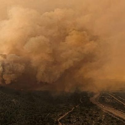 Alguns dos pinheiros mais antigos do mundo atingidos por incêndios na Patagônia