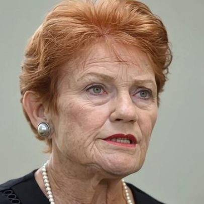 Canavan afirma: Hanson não está apta a liderar após críticas a muçulmanos