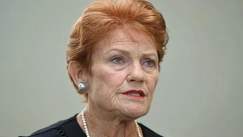 One Nation leader Pauline Hanson on Wednesday walked back some of the comments, mentioning that a Muslim candidate had previously run for her party.