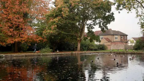 Sevenoaks Borough Council Wildfowl swim on a lake with houses in the background and trees with autumnal leaves surrounding the water