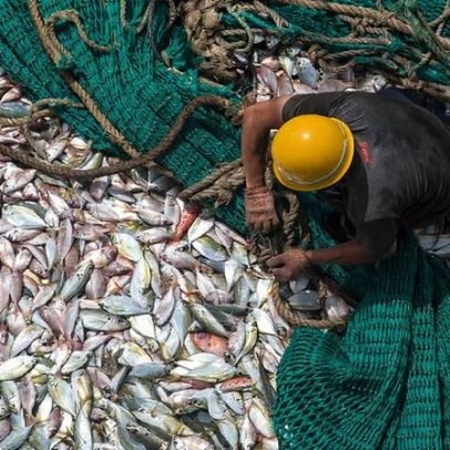 Mortes de pescadores migrantes no mar ligadas a poder de capitães, aponta estudo