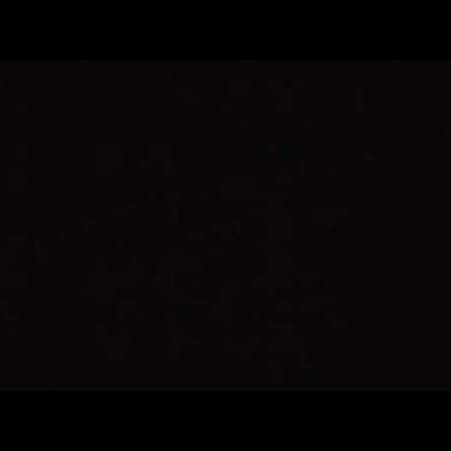 EG Academy vence Alliance Guardians; estatísticas do confronto em 02/02/2026