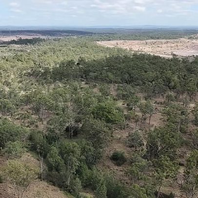 Governo Albanese atua em meio à crise liberal: espécies ameaçadas, novo carvão