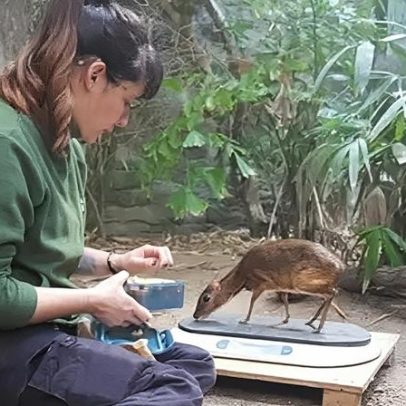 Cuidador de espécies ameaçadas se sente privilegiado