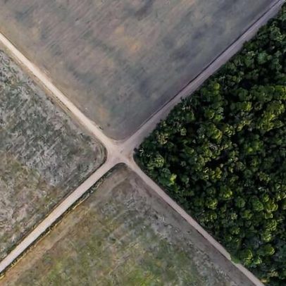 Desmatamento na Amazônia pode subir 30% com saída de grandes negociantes de soja