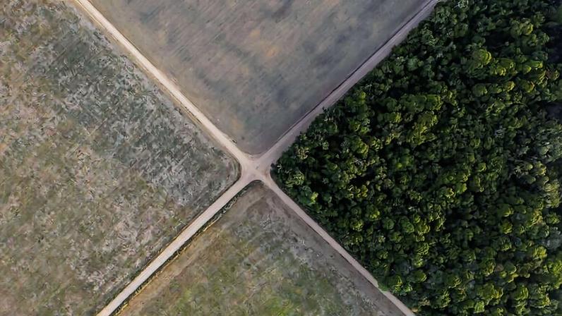 A section of the Amazon rainforest stands next to soy fields in Belterra, Para state, Brazil, on Nov. 30, 2019. Image by AP Photo/Leo Correa.