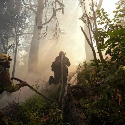 Incêndios devastam florestas da Patagônia, críticas à austeridade de Milei