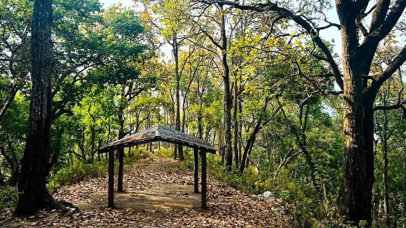 Nepal assina grande acordo de carbono, mas acesso comunitário segue difícil