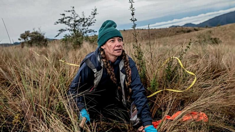 Toby Kiers co-founded the Society for the Protection of Underground Networks (SPUN) where researchers are working to identify and map underground mycorrhizal fungal networks.