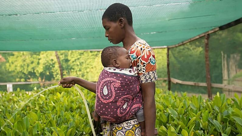 A local woman caring for mangrove saplings at Seatrees and COBEC’s nursery in Mida Creek, Kenya. Image courtesy of Seatrees.