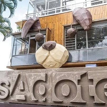 Café pet friendly em São Paulo promove adoção de cães e gatos