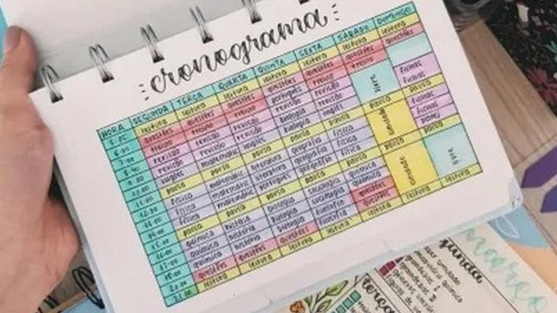 Vestibular 2026: cinco dicas para montar um plano de estudos