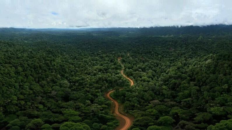 HOJA BLANCO, Ecuador — Some parts of the rainforest in northwestern Ecuador used to be so dense and impenetrable that only a few hundred people were believed to live there. Even when loggers moved into the area in the 1980s and 1990s, setting up the first roads, it would take hours to travel only a few kilometers through the dense forest.
