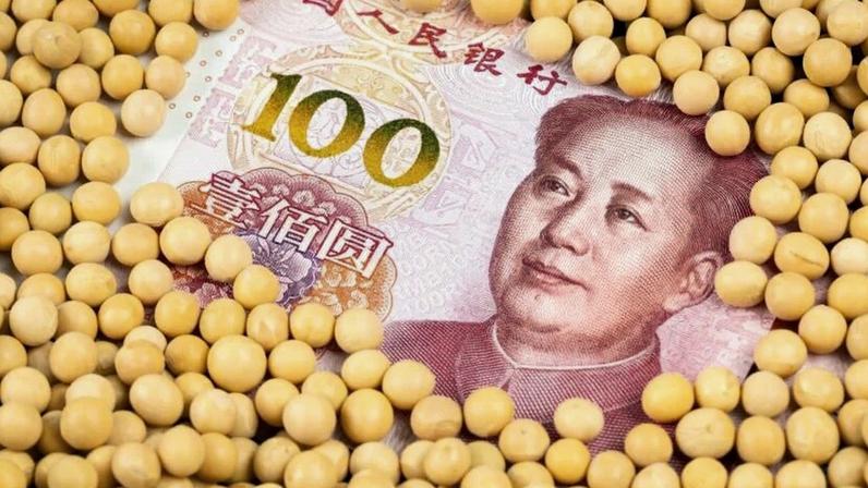 China encerra o maior boicote à soja dos EUA, mas produtores seguem protestando