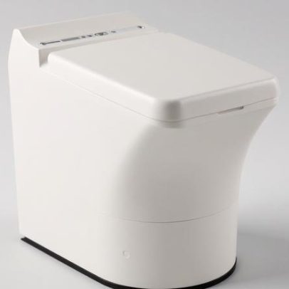 Vaso sanitário funciona como incinerador e recebe apelido Cinderella