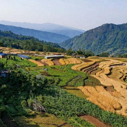 Florestas comunitárias do Nepal mantêm madeira não vendida