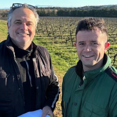 Óleos essenciais ajudam a combater mofo: lições de Costières de Nîmes