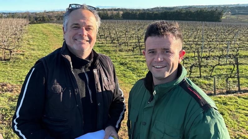 Óleos essenciais ajudam a combater mofo: lições de Costières de Nîmes