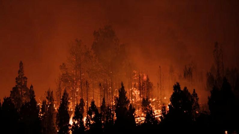 Calor recorde e incêndios intensos marcam 2026 no Hemisfério Sul
