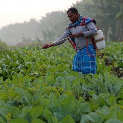 Pacto Índia-EUA e o impacto em milhões de agricultores indianos