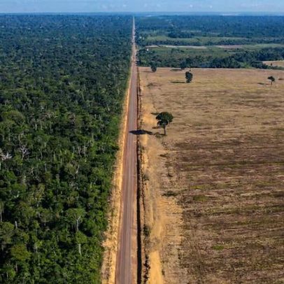Bancos precisam agir antes do colapso do Moratório da Soja na Amazônia