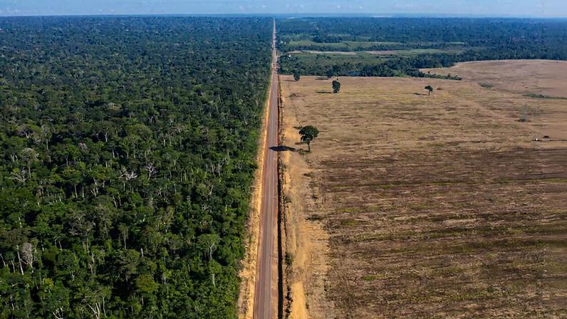 Highway BR-163 stretches between the Tapajos National Forest, left, and a soy field in Belterra, Para state, Brazil. Highway BR-163, built during the military dictatorship in the 1970s, connects areas of strong support for former President Jair Bolsonaro, who lost October's election. Image by AP Photo/Leo Correa.