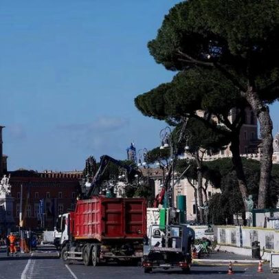 Roma corta pinheiros velhos ao longo da avenida que leva ao Coliseu