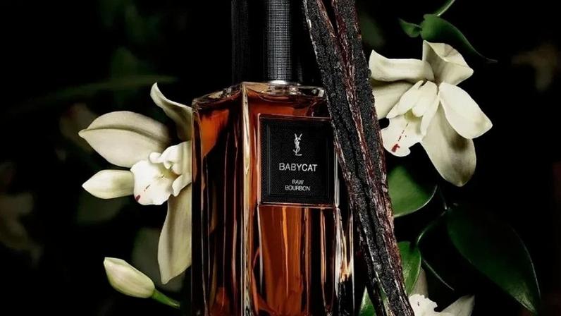 Babycat Parfum do YSL