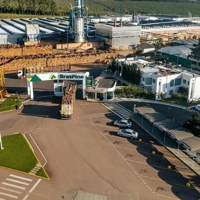 BrasPine investe US$ 250 milhões no Uruguai, planta florestal fora do Brasil
